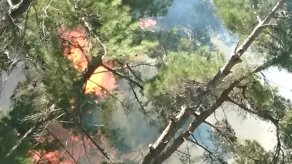 تجدد الحريق في وادي حلسبان في عكار العتيقة.. وخشية كبيرة من وصوله إلى أحراج بلدة القبيات!