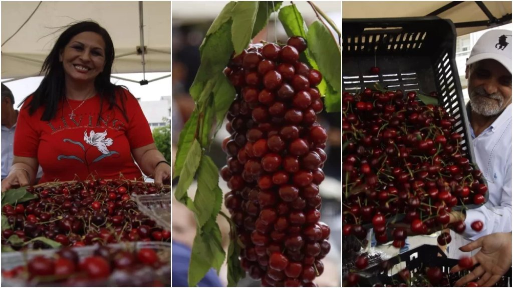 بالصور/ بلدة حمانا تُبهر الجميع في مهرجان يوم الكرز بعد موسم ناجح.. والزوّار بالآلاف من لبنانيّين وسوّاح!